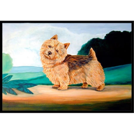 Carolines Treasures 24 x 36 in. Norwich Terrier Indoor Or Outdoor Doormat 7519JMAT